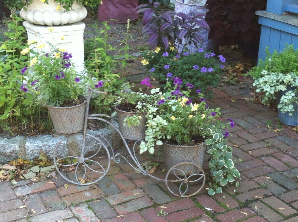 Narragansett House Bed & Breakfast Oak Bluffs Exterior foto